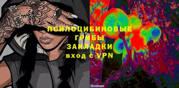 spice Надым