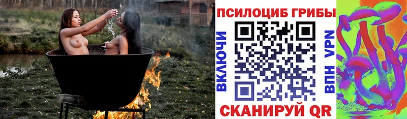 Псилоцибиновые грибы Psilocybine cubensis Шумиха