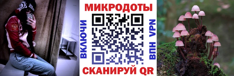 Купить  Шумиха  Галлюциногенные грибы прущие грибы 